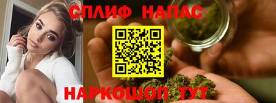 шишки Гагарин