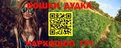 шишки Гагарин