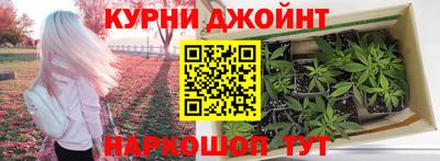 apvp Гай