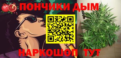 apvp Гай