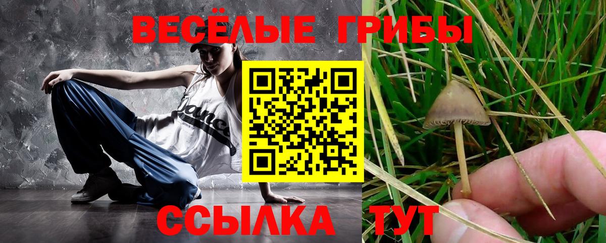 Псилоцибиновые грибы Magic Shrooms  Псилоцибиновые грибы ЛСД  Мурино  Вход с VPN 